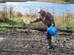 Jack Hurst scatters prairie seeds on the wetland island in Warner Park. Thanks to Wild Warner, the area, used as the "shooting island" for Rhythm & Booms fireworks, will become a wetland area for wildlife. For the story, and more photos, click here to see our blog.