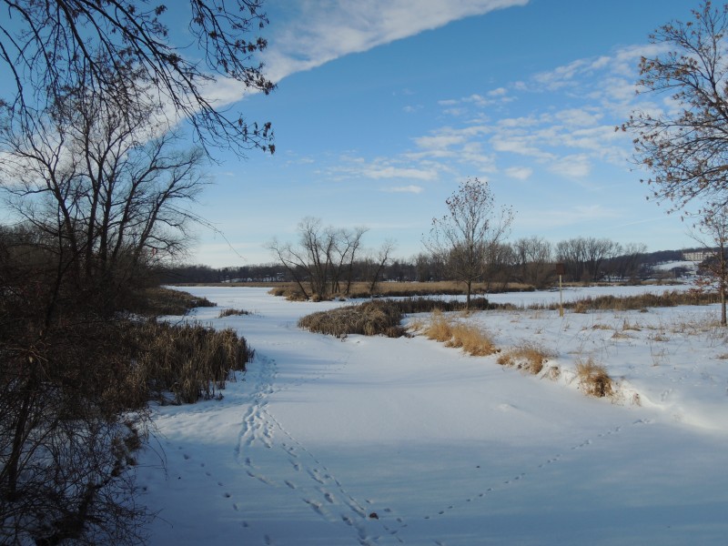 The wetland behind the dog park. The ice is safe now to walk around Warner's wetland. (Lorraine Bose)