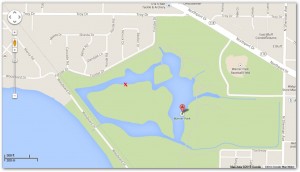 X Marks Location of Eagles in Warner Park