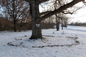 Happy Valentine's from Nature Explorers and Wild Warner. For more on the unique partnership between UW Madison, Sherman Middle School and Wild Warner, click on BLOG above.