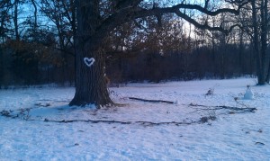 The Sharing Tree (Paul Noeldner)