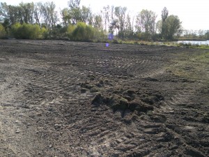 The island cleared and scraped to original 1970s level when it was created from lagoon dredging. (Jim Carrier)