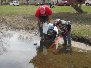 Grant and Henry Leydon stop to check out frogs in the storm ditch, while picking up trash.